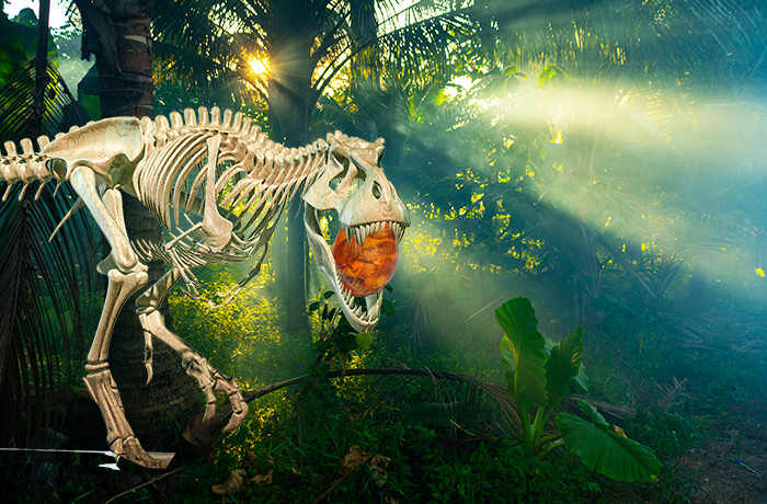 Biżuteria dinozaury | BALT Dulińscy